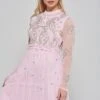 Anita Pink Embellished Maxi Dress