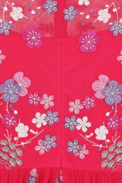 Coraline Crimson Floral Embroidered Maxi Dress -Frock And Frill US Coraline Floral Embroidered Maxi Dress 1