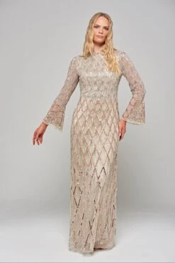 Lillian Ombre Embellished Maxi Dress -Frock And Frill US Lillian Ombre Embellished Maxi Dress 2