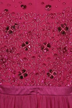 Martha Embellished Bodice Midi Dress -Frock And Frill US Martha Magenta Embellished Midi Dress 1