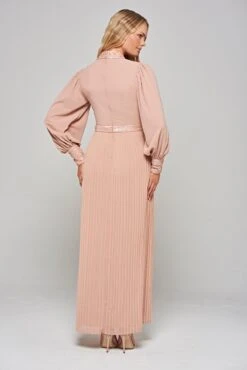 Rosa Blush Sequin Maxi Dress With Pleated Skirt -Frock And Frill US Rosa Blush Sequin Maxi Dress 7