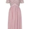 Ruth Violet Blush Embellished Bodice Midi Dress